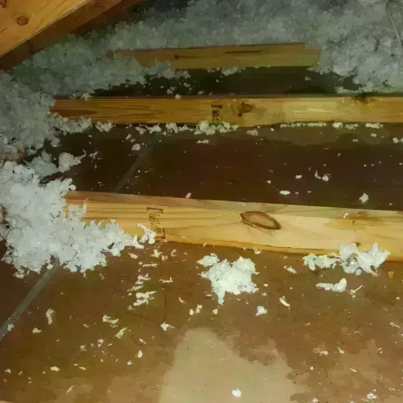 Attic Water Damage in Graysville, TN